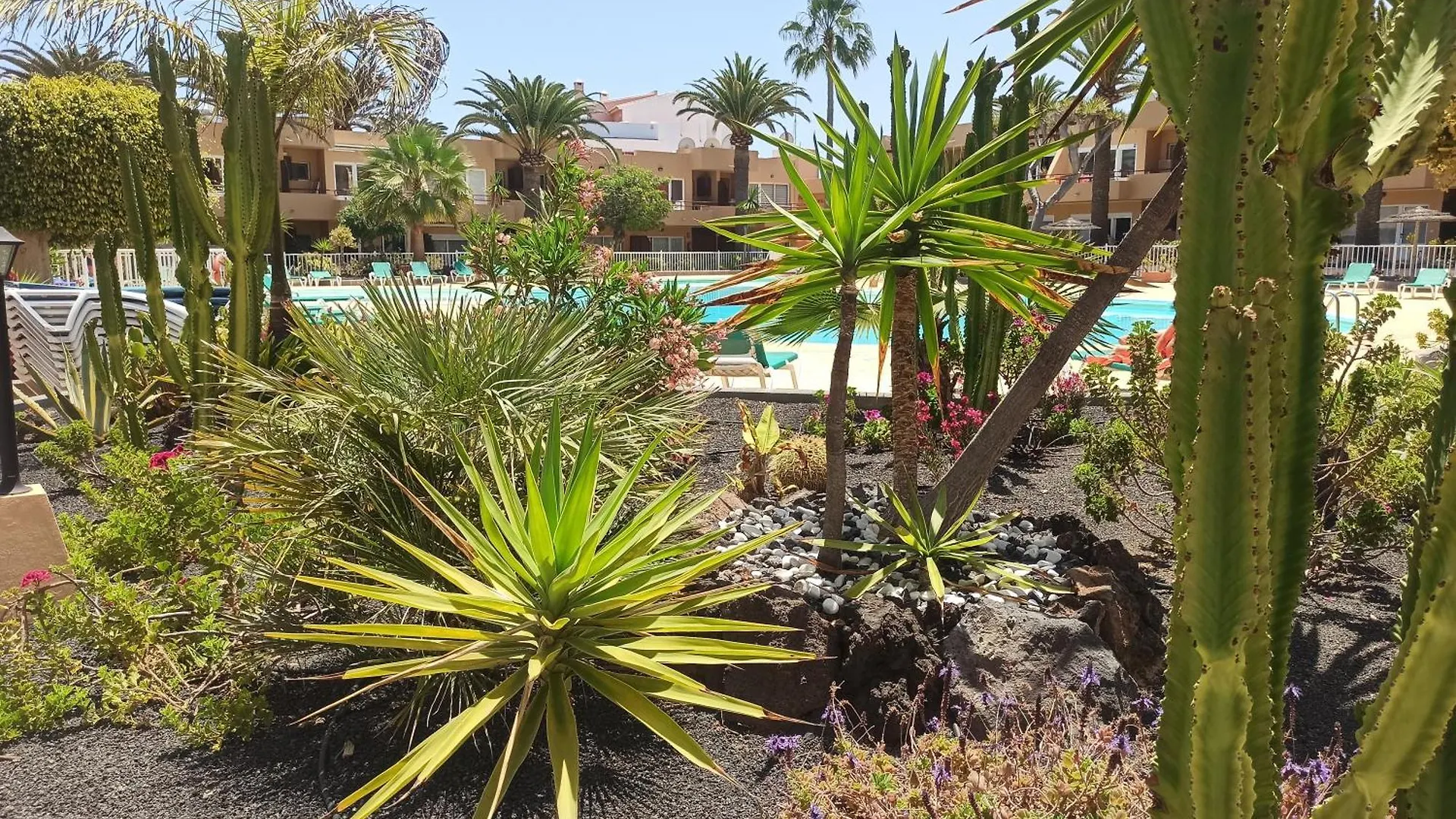Todavida Corralejo